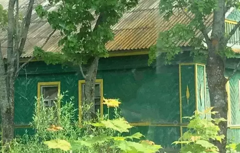 Дом в Тверская область, Старицкий муниципальный округ, д. Степурино ...