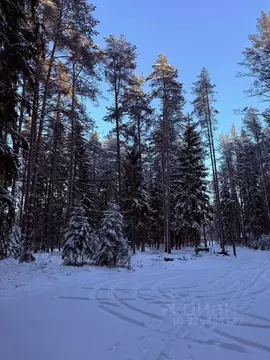 Участок в Ленинградская область, Выборгский район, Первомайское с/пос, ...