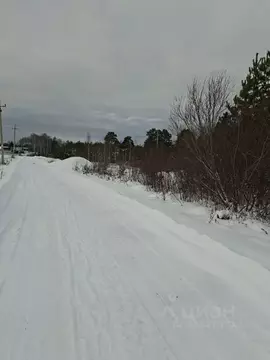 Участок в Свердловская область, Екатеринбург ул. Кордон Шиловский ...