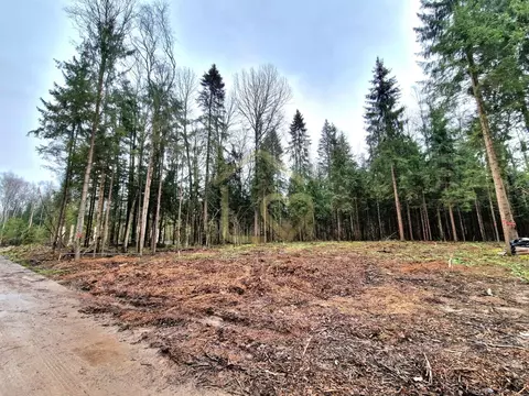 Участок в Московская область, Дмитровский муниципальный округ, д. ...