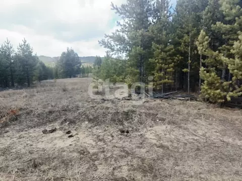 Участок в Бурятия, Тарбагатайский район, Заводское с/пос, Булаг ДНТ ...