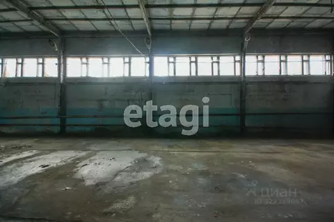 Помещение свободного назначения в Ямало-Ненецкий АО, Новый Уренгой ...