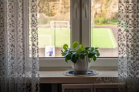 2-к кв. Калининградская область, Янтарный пгт ул. Советская, 102 (45.0 ...