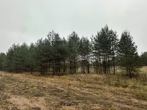 Участок в Костромская область, Красносельский район, Сидоровское ...