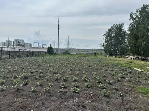 Участок в Челябинская область, Челябинск ул. Северо-Западная Околица, ...