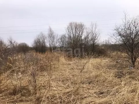 Участок в Хабаровский край, Хабаровский район, Надежда-2 СНТ 38 (6.0 ...