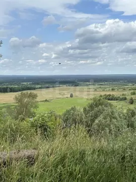 Дом в Марий Эл, Волжский район, с. Сотнур ул. Центральная, 40А (198 м)