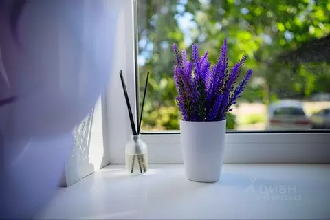 1-к кв. Псковская область, Псков Гражданская ул., 26 (30.2 м)