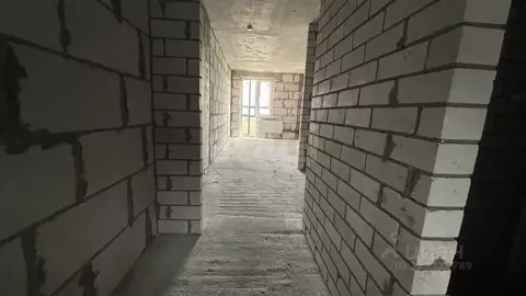 Студия Воронежская область, Воронеж ул. Антонова-Овсеенко, 35С (27.12 ...