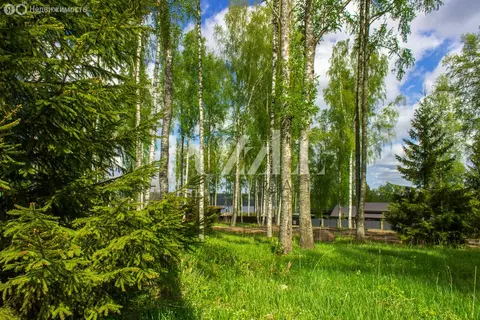 Участок в Приозерский район, Петровское сельское поселение, деревня ...