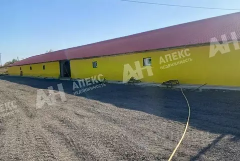 Склад в Московская область, Кашира городской округ, д. Барабаново ул. ...