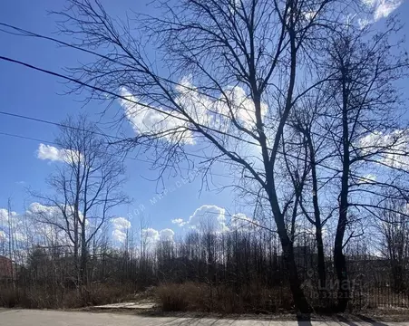 Участок в Санкт-Петербург, Санкт-Петербург, Петергоф ул. Чайковского ...