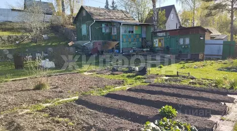 Дом в Новосибирская область, Новосибирск Печатник СНТ,  (32 м)