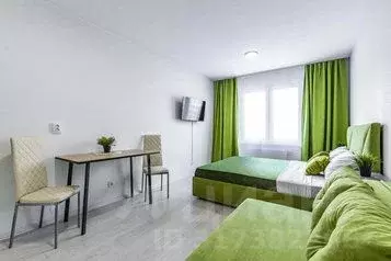 1-к кв. Свердловская область, Екатеринбург ул. Советская, 62Б (30.0 м)