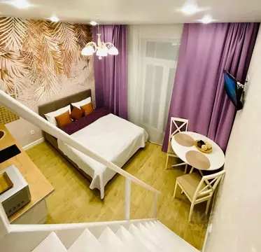 1-к кв. Новосибирская область, Новосибирск ул. Гоголя, 209 (25.0 м)