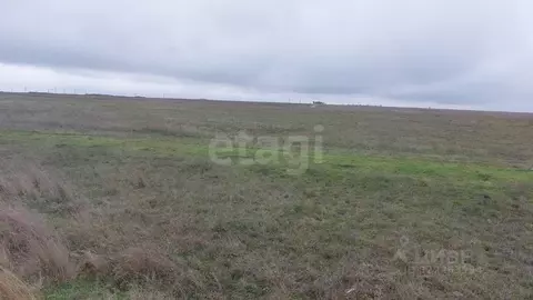 Участок в Крым, Ленинский район, с. Калиновка ул. Абденановой (6.31 ...