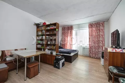 1-к кв. Новосибирская область, Новосибирск ул. Николая Сотникова, 14 ...