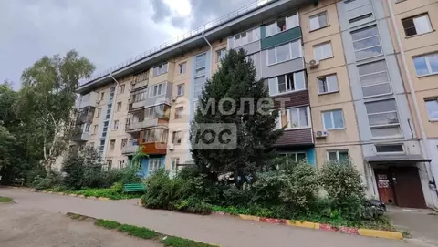 3-к кв. Алтайский край, Бийск ул. Ильи Мухачева, 260 (47.4 м)