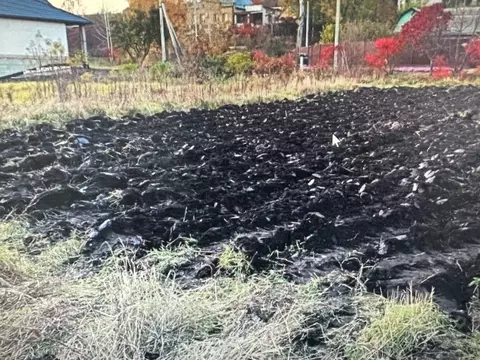 Участок в Белгородская область, Яковлевский муниципальный округ, с. ...