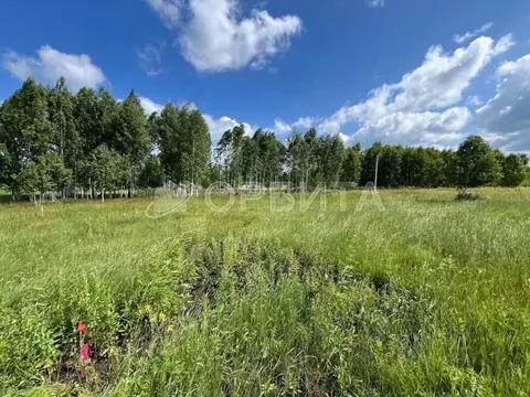 Участок в Тюменская область, Нижнетавдинский муниципальный округ, ...