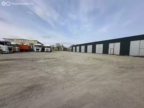 Помещение свободного назначения (100 м)