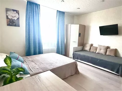 1-к кв. Московская область, Домодедово Южный мкр, ул. ...