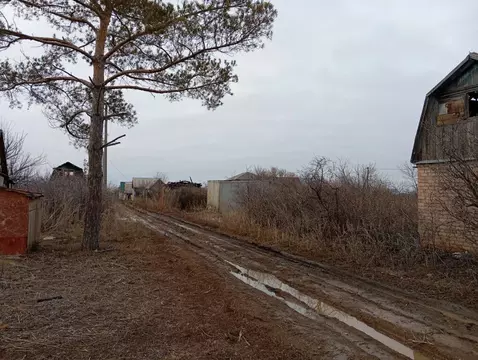 Участок в Оренбургский район, Экспериментальный сельсовет, СНТ Сулак ...
