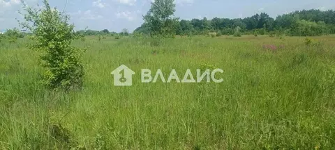 Участок в Пензенская область, Пенза Барковка мкр,  (9.95 сот.)