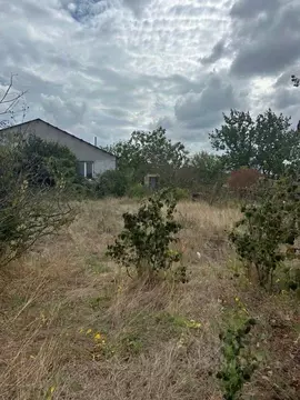 Участок в Крым, Феодосия муниципальный округ, Буревестник дп ул. ...