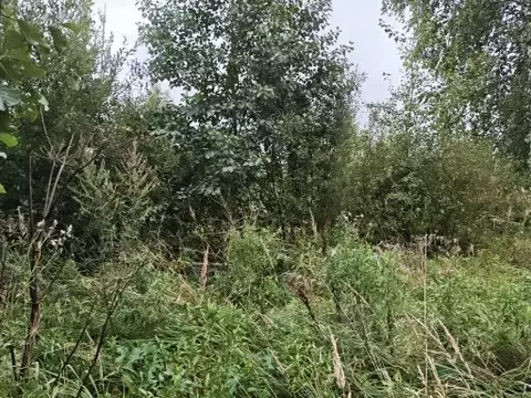 Участок в Московская область, Воскресенск городской округ, с. Ашитково ...
