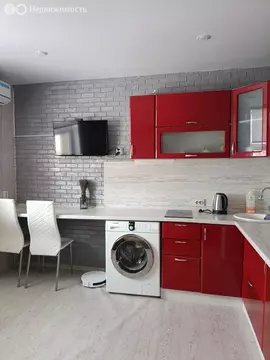 Квартира-студия: деревня Якты-Куль, Степная улица, 5 (20 м)