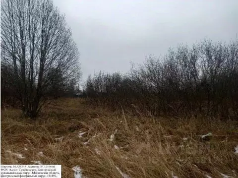 Участок в Московская область, Дмитровский муниципальный округ, с. ...