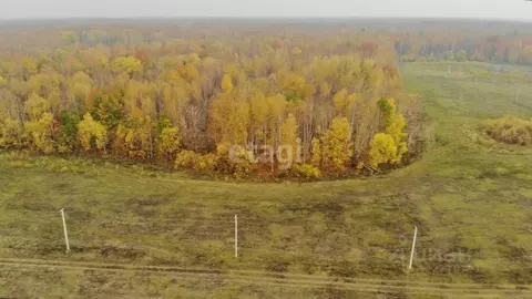 Участок в Тюменская область, Тюменский муниципальный округ, с. ...