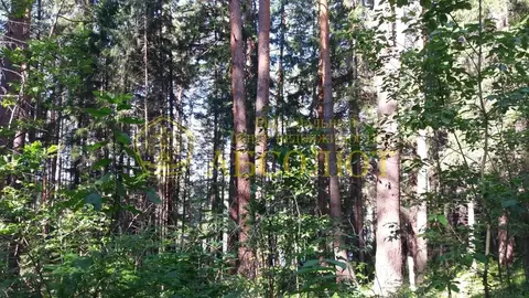 Участок в Свердловская область, Ревда муниципальный округ, пос. ...