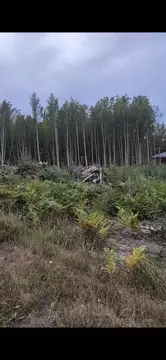Участок в Тамбовская область, Тамбовский муниципальный округ, Рада ...