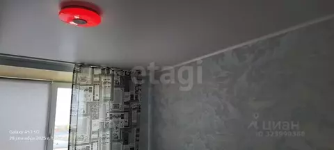 1-к кв. Томская область, Томск ул. Шевченко, 45 (13.4 м)