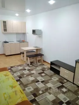 Студия Красноярский край, Красноярск ул. Карамзина, 8 (27.0 м)