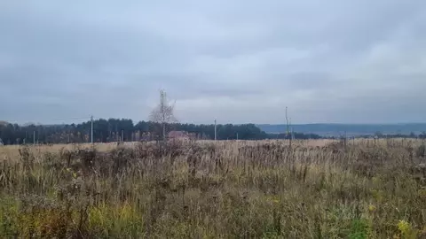 Участок в Тульская область, Алексин городской округ, с. Бунырево  ...