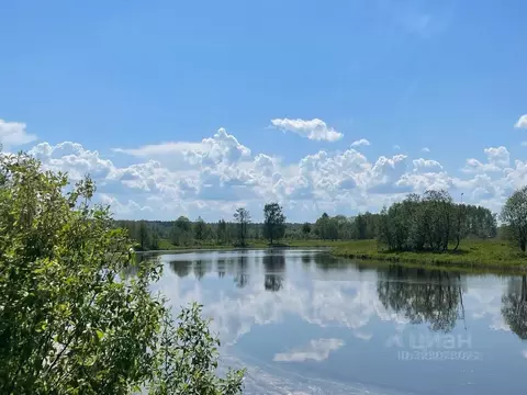 Участок в Тверская область, Конаковский муниципальный округ, д. Юрьево ...