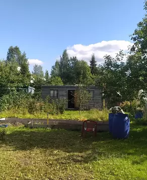 Участок в Ленинградская область, Гатчинский муниципальный округ, Учхоз ...