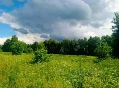 Участок в Московская область, Коломна городской округ, с. Андреевское  ...