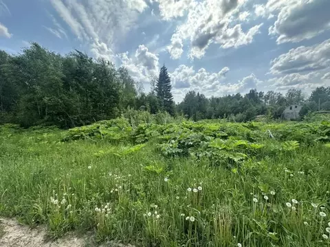 Участок в Пермский край, Березники ул. Павла Богословского (14.0 сот.)