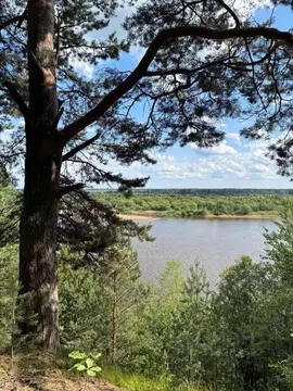 Участок в Кировская область, Орловское с/пос, д. Болдычи  (38.0 сот.)