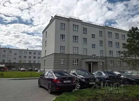 Студия Тверская область, Тверь ул. Медовая, 9к6 (17.35 м)