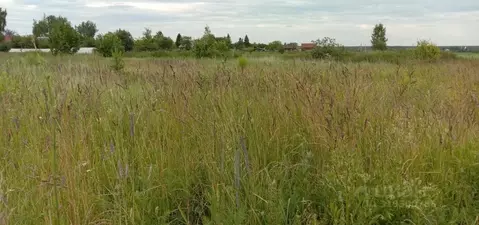 Участок в Владимирская область, Суздальский район, Селецкое ...