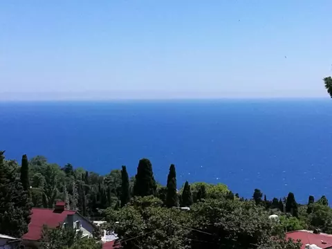 Студия Крым, Алупка ул. Имени Братьев Говыриных, 20 (41.0 м)