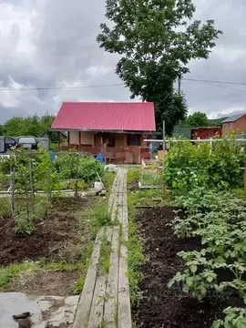 Дом в Хабаровский край, Хабаровский район, Заря СДТ 131 (20 м)