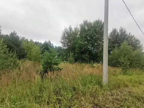 Участок в Московская область, Коломна городской округ, с. Васильево  ...