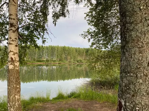 Участок в Татарстан, Лаишевский район, с. Пелево  (10.0 сот.)