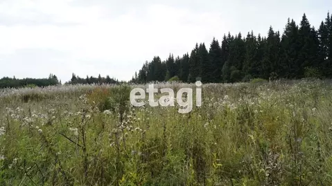 Участок в Свердловская область, Тугулымский муниципальный округ, пос. ...